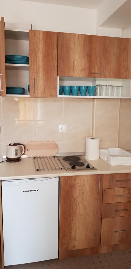 Dobricin Konak, Apartman 202 Kopaonik Exterior photo