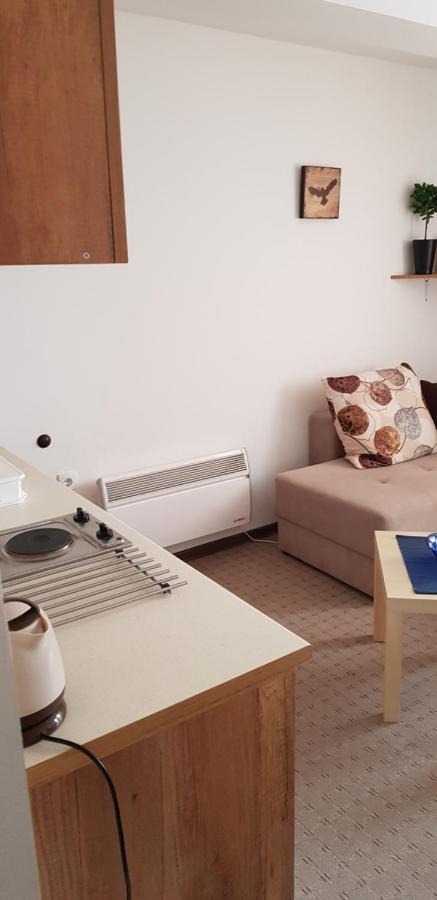 Dobricin Konak, Apartman 202 Kopaonik Exterior photo